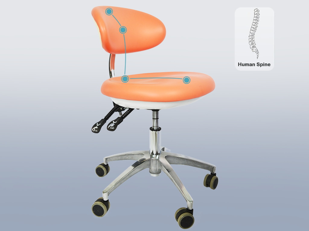 Ergonomic laboratory chairs